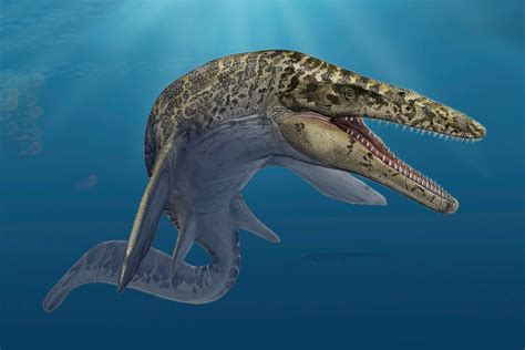 largest mosasaurus dinosaur.